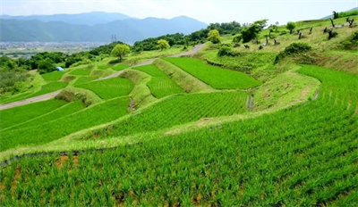 生態環境部通報8月和1—8月全國環境空氣質量狀況