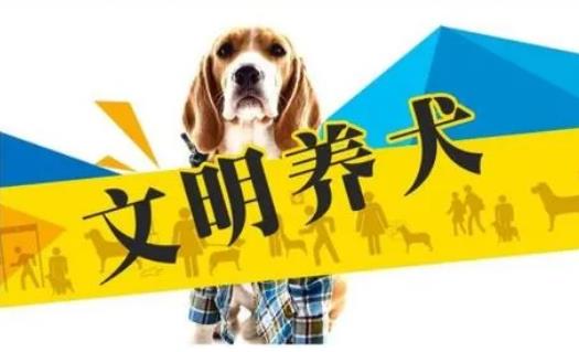 2023年3月1日起施行！《黃石市養犬管理條例》來了