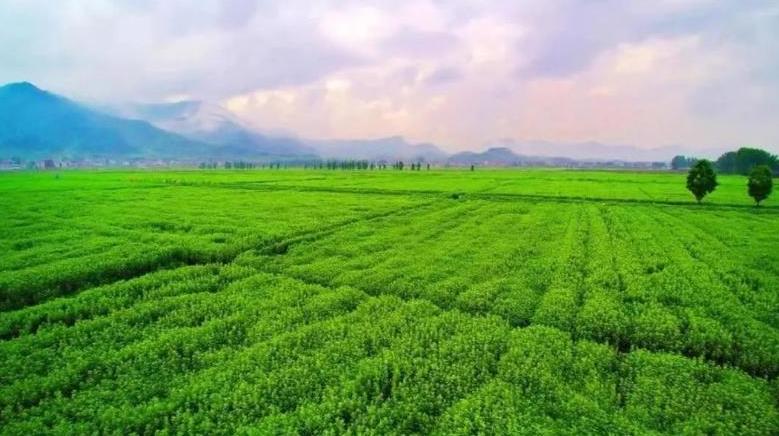 祝賀！蘄春縣生物多樣性保護(hù)成功入選全國優(yōu)秀案例