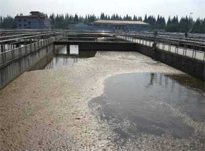 污水廠污泥的水熱法穩定化重力濃縮機械脫水半干法處理技術